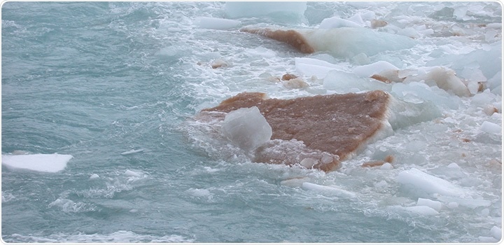 Gene-editing tools developed to study ocean microbes to develop natural products