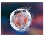 Study shows promise for treating different types of cancer