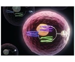 Study designs artificial proteins that function as molecular logic gates