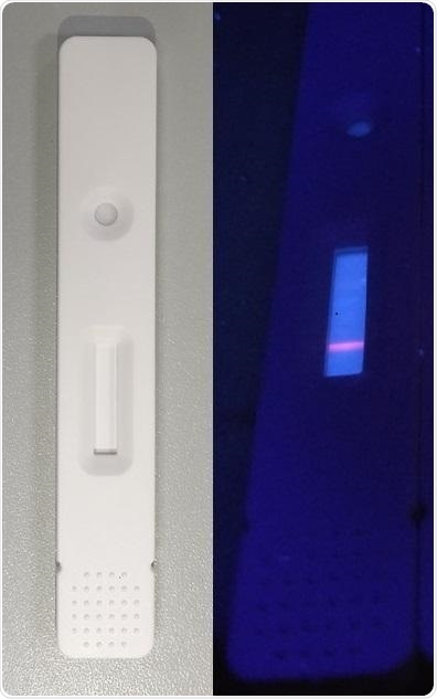 New rapid, sensitive test can detect COVID-19 cases