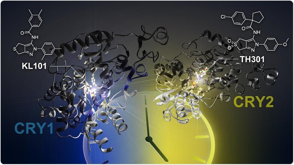 New small molecules show promise for treating obesity and other disorders