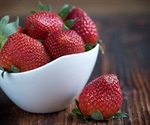 Study finds how sweet taste perception is fine-tuned in response to different diets