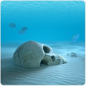 Certain proteins in bones could help estimate the time of death