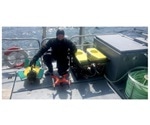 Robotic turtles cause minimal stress to fish while monitoring