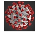 Two nose cells may contribute to COVID-19 pandemic