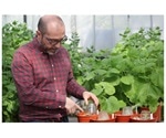 Bio-factory plant available to researchers to help combat COVID-19