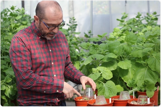 Genome of bio-factory plant made available to researchers to help combat COVID-19