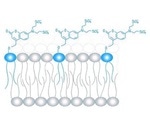 Chemical tools can regulate lipid concentration in living cells