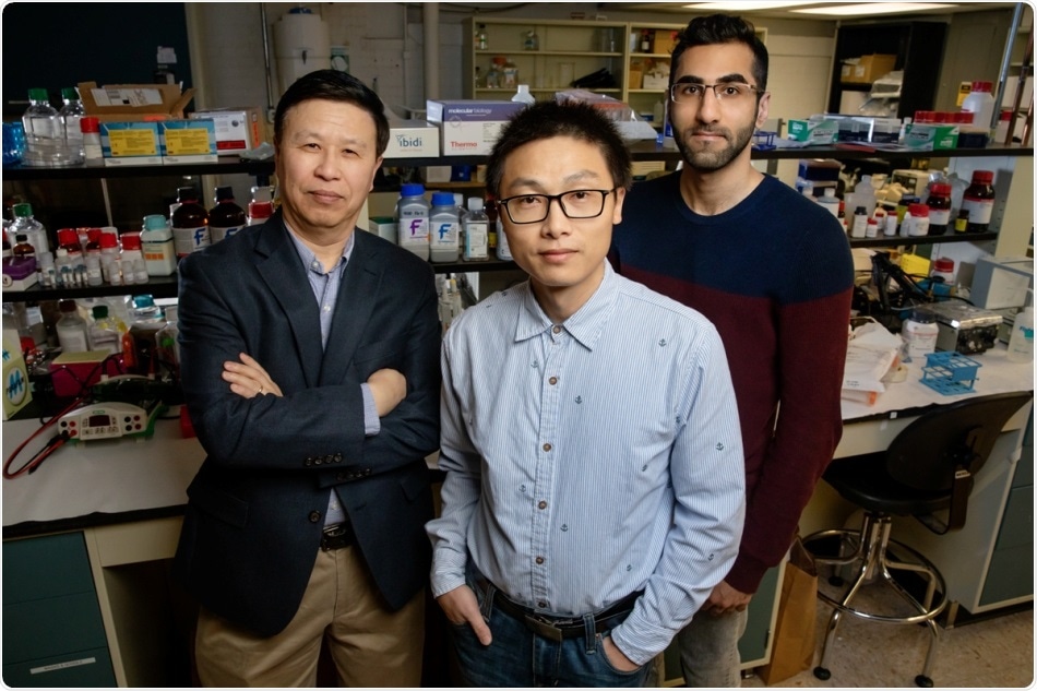 Force can activate genes without intermediates, enzymes, or signaling molecules