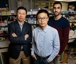 Force can activate genes without intermediates, enzymes, or signaling molecules