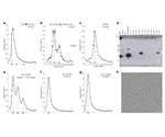 Researchers decode the mechanism of antibiotic resistance in Staphylococcus