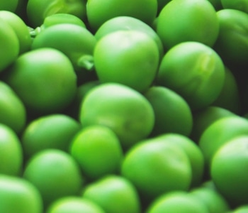 Pre-Configured LIMS for the Food and Beverage Industry
