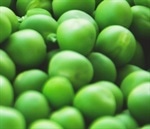 Pre-Configured LIMS for the Food and Beverage Industry