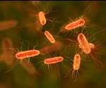 Fecal Transplantation Improves Outcomes In Patients With Multi-Drug Resistant Organisms