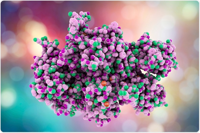 Coagulation Factor VIII Coagulation Factor VIII