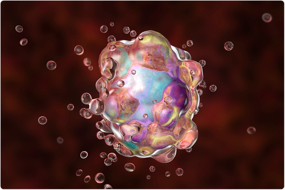 Apoptosis