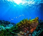 Coastal Pollution Reduces Genetic Diversity Of Corals