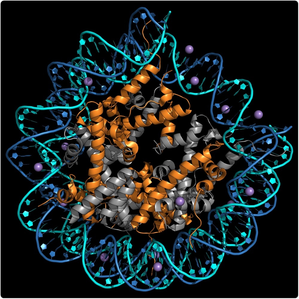 Nucleosome Nucleosome