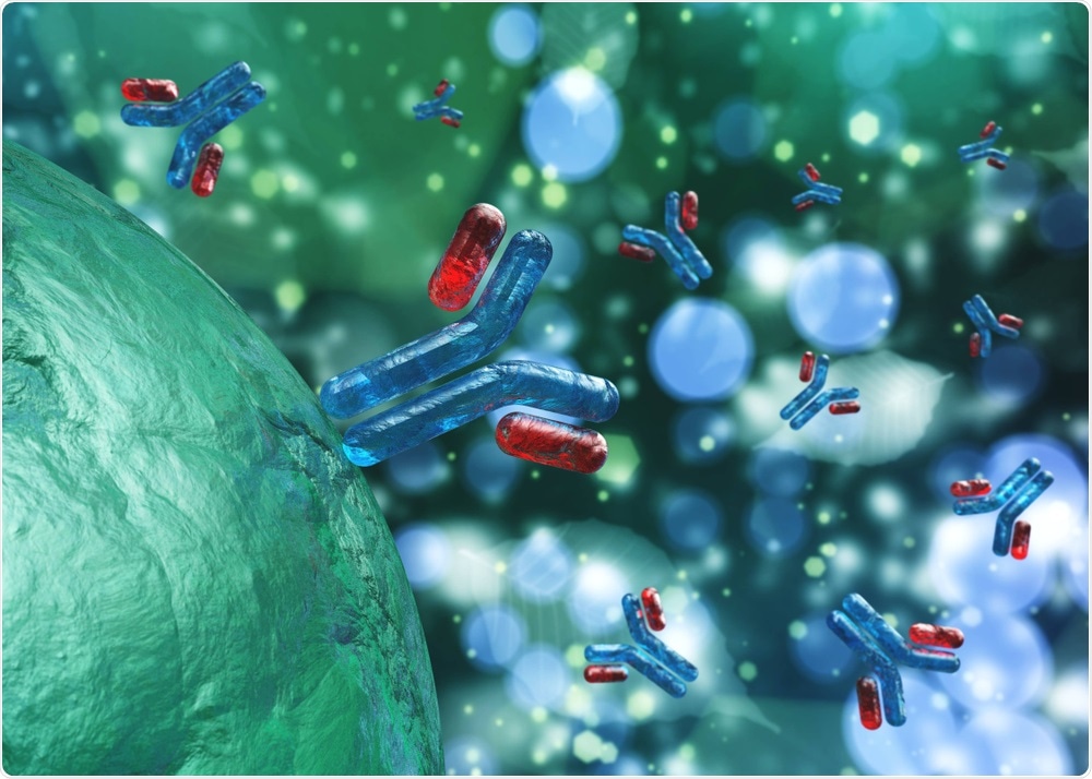 Antibody Antibody
