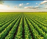 Organic Soybean Producers Can Be Competitive Using Little Or No Tillage