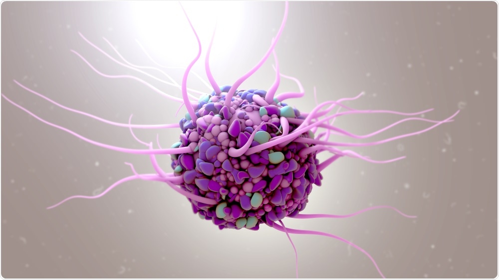 Dendritic Cell Dendritic Cell