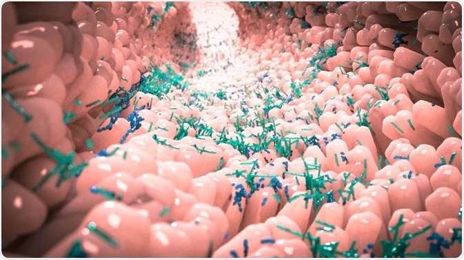 Gut Microbiome Gut Microbiome