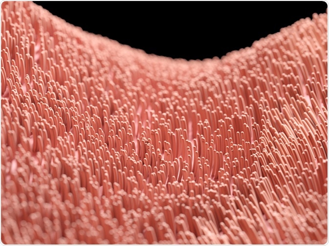 Human Cilia