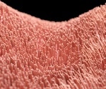 Mysteries Behind Multiciliated Cells