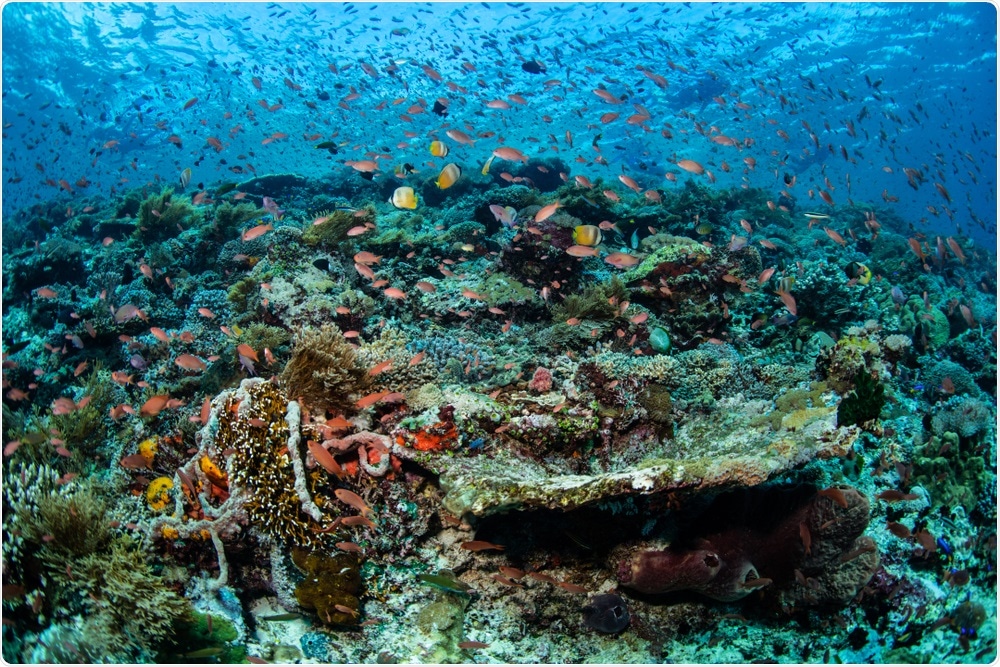 Biodiversity in Sea Biodiversity in Sea