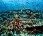 The distribution of biodiversity on our planet
