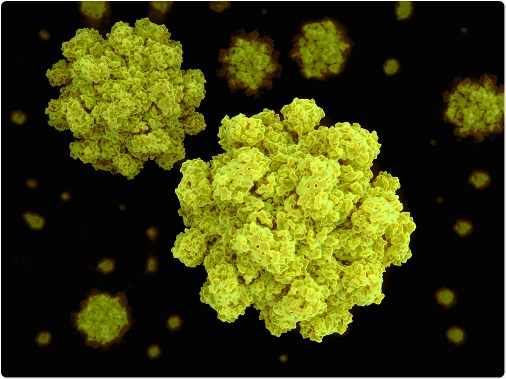 Norovirus Norovirus