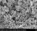 New method can improve access to sophisticated microscopy data