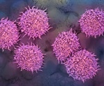 Uses of Human Pluripotent Stem Cells