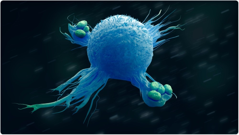 Macrophage Macrophage