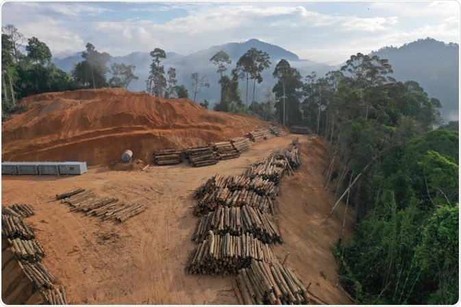 Logging Logging