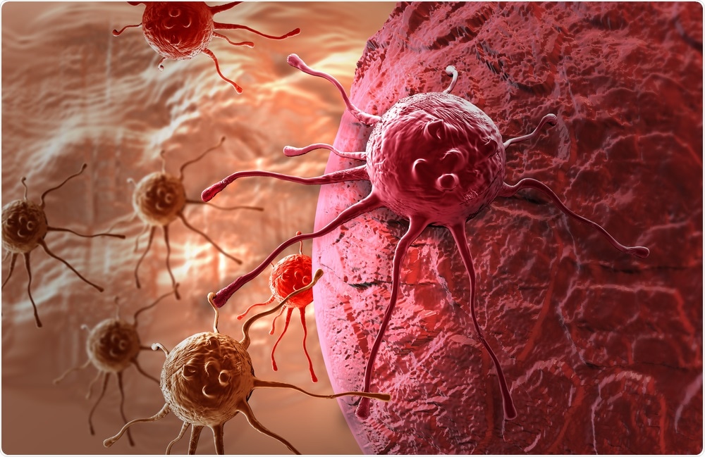 Cancer Cell Cancer Cell