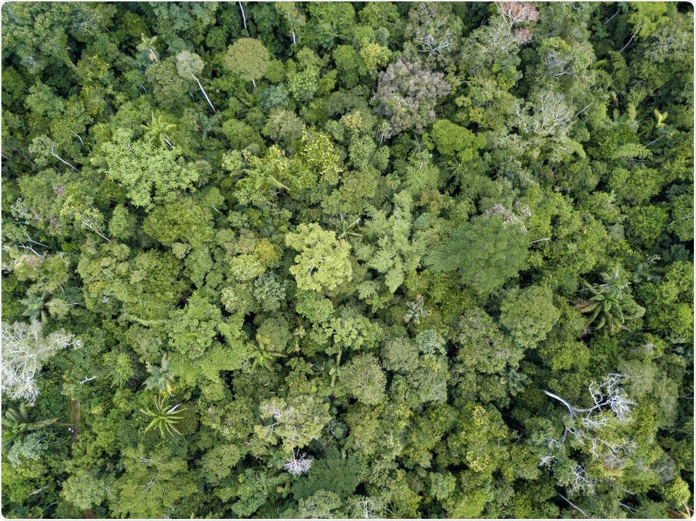 Biodiversity Biodiversity
