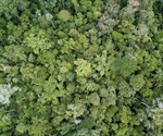 Climate Change Could Cause Sudden Biodiversity Losses Worldwide