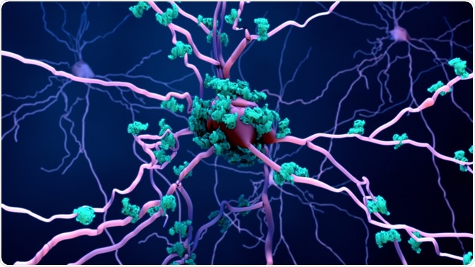 Cell Death of Neurons Cell Death of Neurons