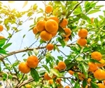 Engineers Develop Precision Injection System For Plants
