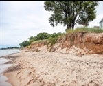 Plant Root Hairs Key To Reducing Soil Erosion