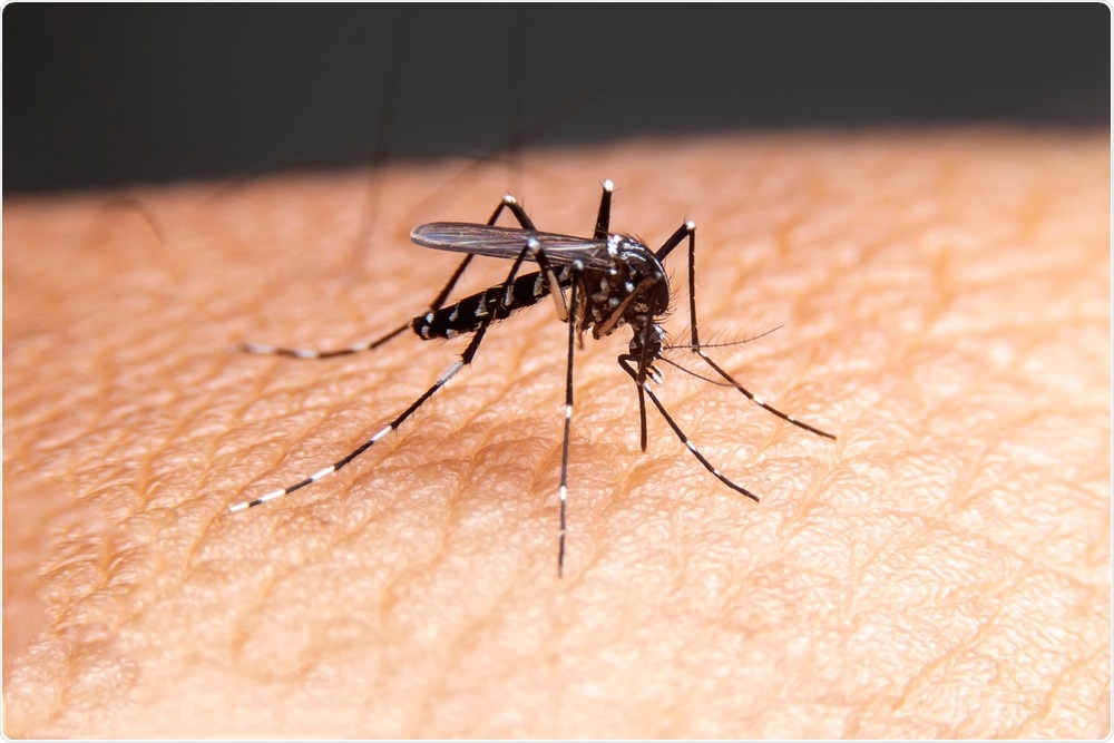 Malaria Malaria