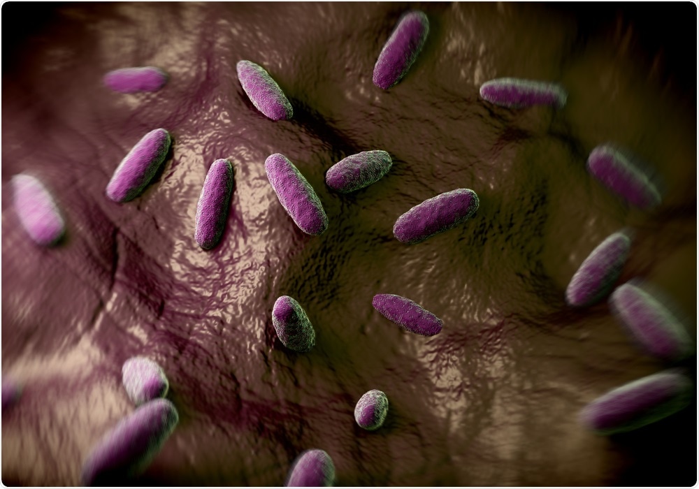Salmonella Serotype Salmonella Serotype