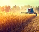 Digital Agriculture Paves The Road To Agricultural Sustainability