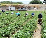Agricultural Pickers In US To See Unsafely Hot Workdays Double By 2050