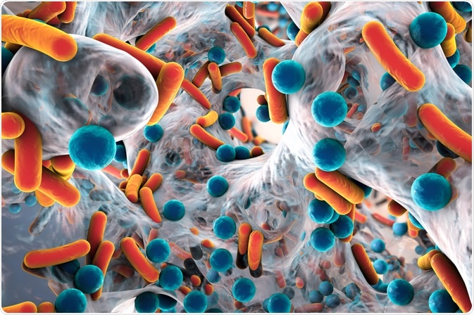 Antibiotic Resistant Bacteria Antibiotic Resistant Bacteria