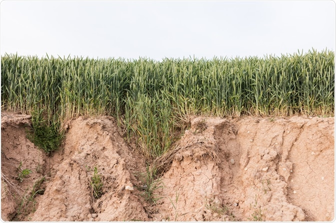 Erosion Erosion