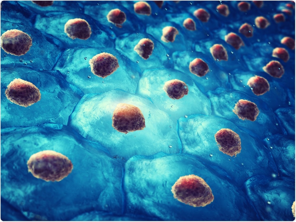 Embryonic Stem Cells Embryonic Stem Cells