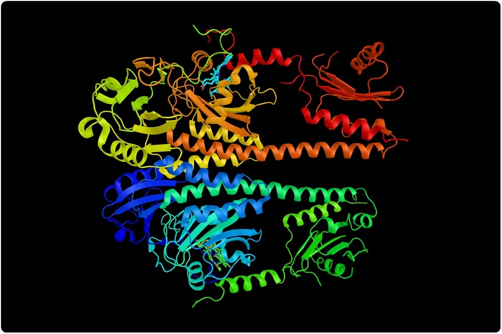 Phytochrome Phytochrome