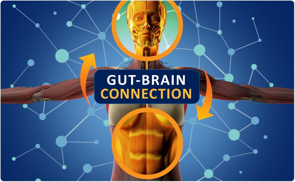 Gut and Brain Connection